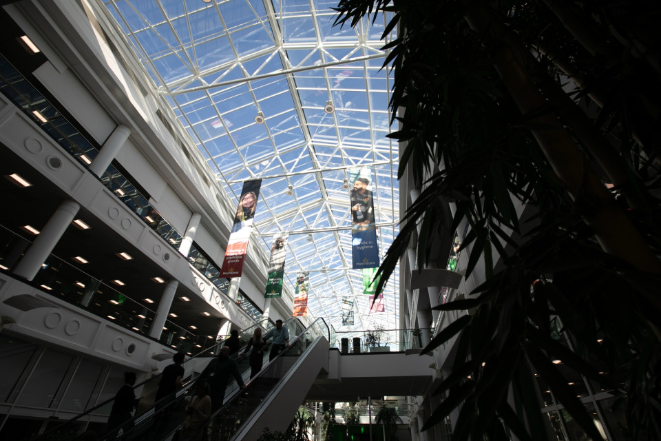 Hillmore House interior with glass roof