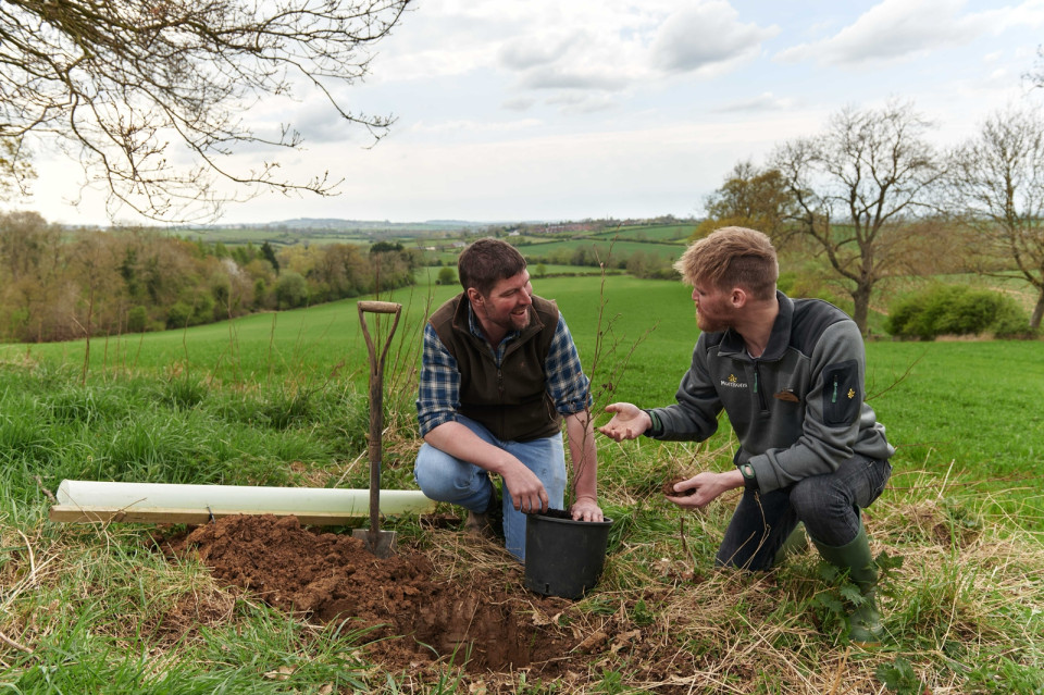 Morrisons tree advisors chatting in a field