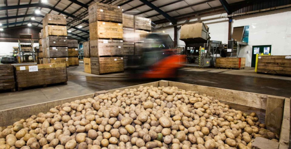 Large box of potatoes in manufacturing location