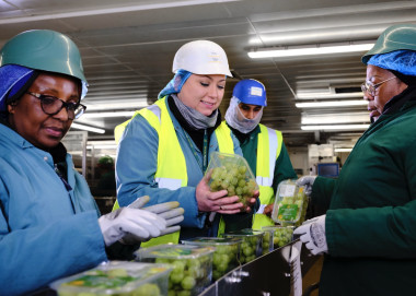 Myton coilleagues working on grape production line